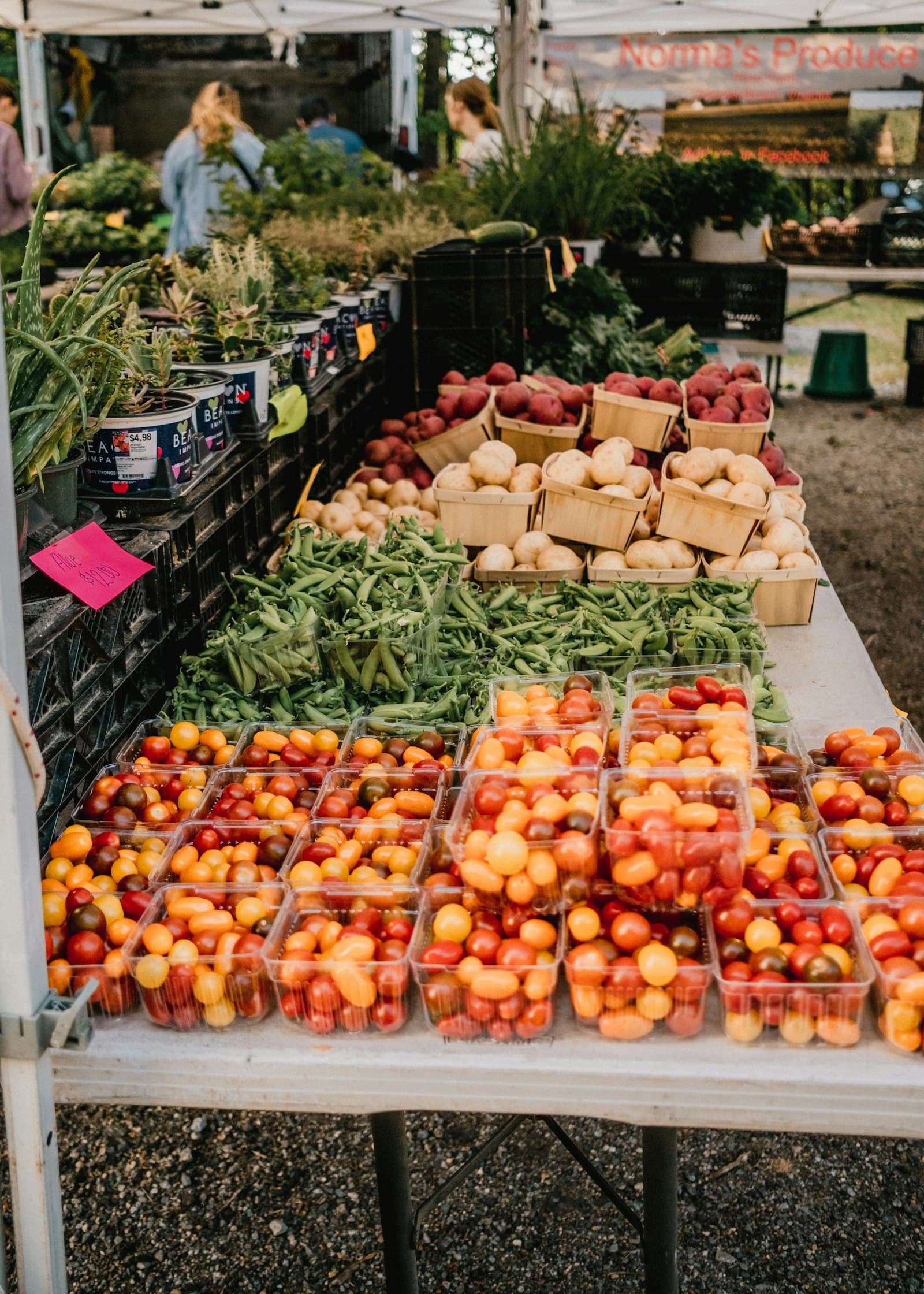 Farmers market vendor handing fresh produce.